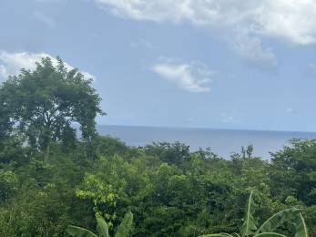 Achat Terrain à Batir Deshaies (97126) - GUADELOUPE