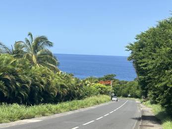 Achat Terrain à Batir Deshaies (97126) - GUADELOUPE