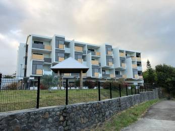 Achat Appartement Saint-Pierre (97410) - REUNION