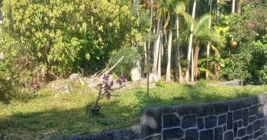 a vendre// beau  terrain plat de 2168 m2 (dont 210 m2 constructible) dans les hauts de sainte-marie