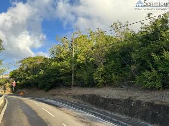 Achat Terrain Vieux Fort (97141) - GUADELOUPE