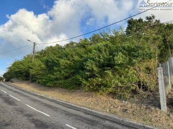 Achat Terrain Vieux Fort (97141) - GUADELOUPE