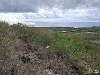 Achat Terrain Saint-Gilles les Bains (97434) - REUNION
