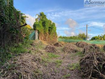 Achat Terrain Saint-Claude (97120) - GUADELOUPE