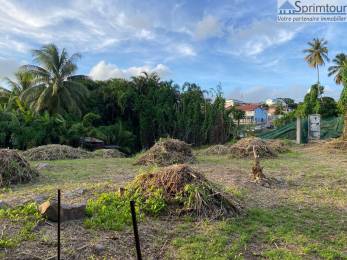 Achat Terrain Saint-Claude (97120) - GUADELOUPE