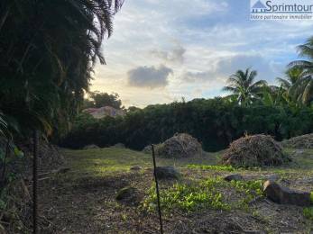 Achat Terrain Saint-Claude (97120) - GUADELOUPE