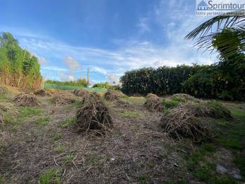 Achat Terrain Saint-Claude (97120) - GUADELOUPE