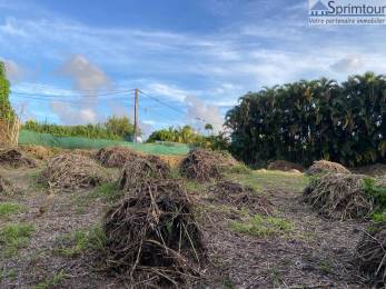 Achat Terrain Saint-Claude (97120) - GUADELOUPE