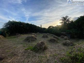 Achat Terrain Saint-Claude (97120) - GUADELOUPE