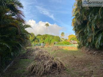 Achat Terrain Saint-Claude (97120) - GUADELOUPE