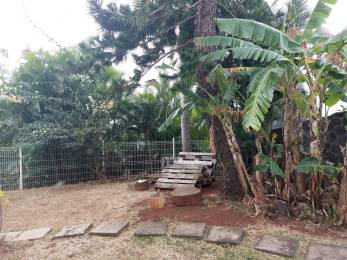 Achat Rez De Jardin Saint-Denis (97400) - REUNION