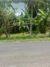 Achat Terrain Les Abymes (97139) - GUADELOUPE