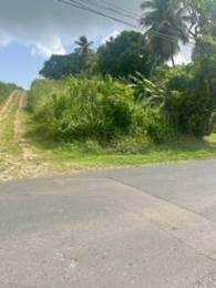 Achat Terrain Les Abymes (97139) - GUADELOUPE