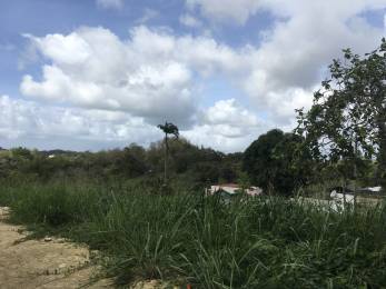 Achat Terrain Les Abymes (97139) - GUADELOUPE