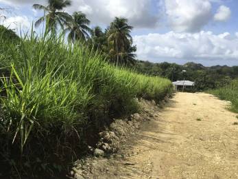 Achat Terrain Les Abymes (97139) - GUADELOUPE