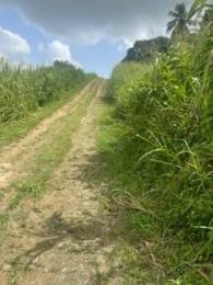 Achat Terrain Les Abymes (97139) - GUADELOUPE