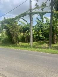 Achat Terrain Les Abymes (97139) - GUADELOUPE