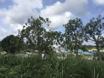 Achat Terrain Les Abymes (97139) - GUADELOUPE