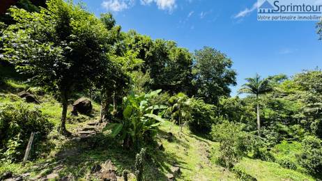 Achat Maison Bouillante (97125) - GUADELOUPE