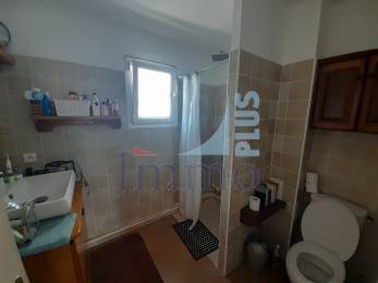 Achat Triplex Saint-Denis (97400) - REUNION