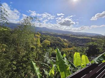 Achat Maison Sainte-Marie (97438) - REUNION