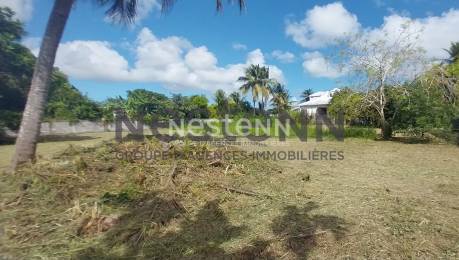 Achat Terrain Sainte-Anne (97180) - GUADELOUPE