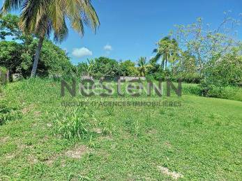 Achat Terrain Sainte-Anne (97180) - GUADELOUPE