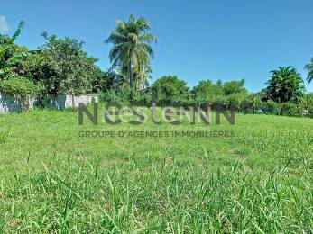 Achat Terrain Sainte-Anne (97180) - GUADELOUPE