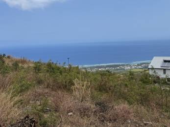 Achat Terrain Le Moule (97160) - GUADELOUPE