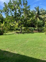 Location Villa Le Moule (97160) - GUADELOUPE