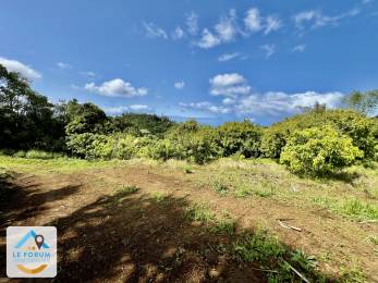 Achat Terrain Saint-Joseph (97480) - REUNION