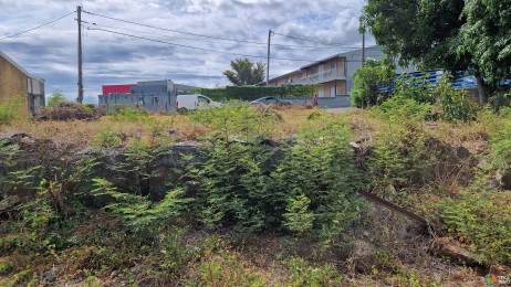 Achat Terrain Saint-Pierre (97410) - REUNION