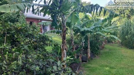 Achat Maison Trois Rivières (97114) - GUADELOUPE