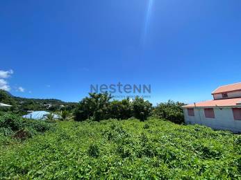 Achat Terrain Trois Rivières (97114) - GUADELOUPE