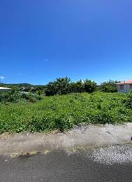 Achat Terrain Trois Rivières (97114) - GUADELOUPE