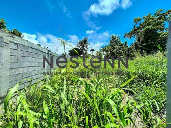 Achat Terrain Petit Bourg (97170) - GUADELOUPE