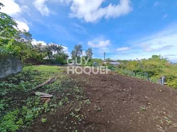 Achat Terrain Tampon (97430) - REUNION
