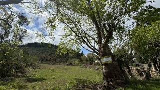 achat terrain à plaine des cafres (97418)