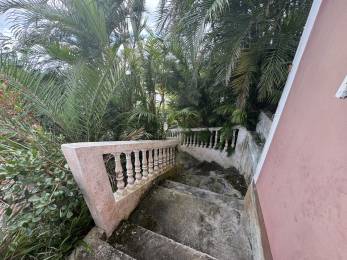 Achat Maison Saint-Denis (97400) - REUNION