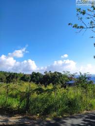 Achat Terrain Vieux Habitants (97119) - GUADELOUPE