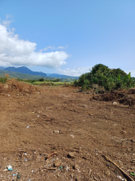 Achat Terrain à Batir Bras-Panon (97412) - REUNION