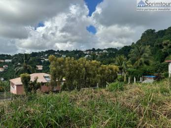 Achat Terrain Le Moule (97160) - GUADELOUPE