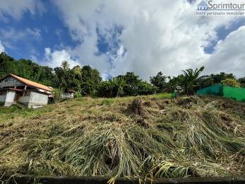 Achat Terrain Le Moule (97160) - GUADELOUPE