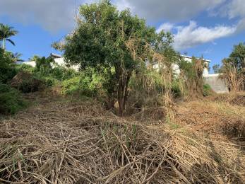 Achat Terrain à Batir Tampon (97430) - REUNION