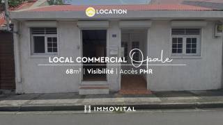 location local professionnel à basse terre (97100)