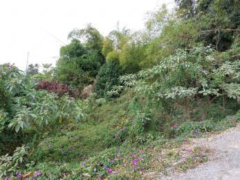 Achat Terrain à Batir Saint-Denis (97400) - REUNION