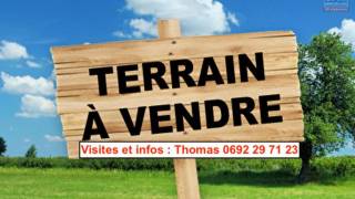 achat terrain à plaine des palmistes (97431)