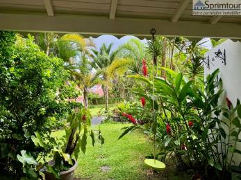 Achat Appartement Gourbeyre (97113) - GUADELOUPE