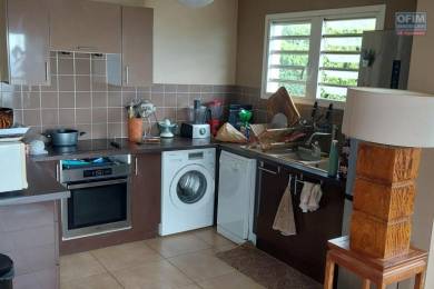 Location Appartement Saint-Leu (97436) - REUNION