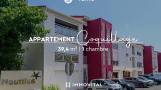 achat appartement à petit bourg (97170)